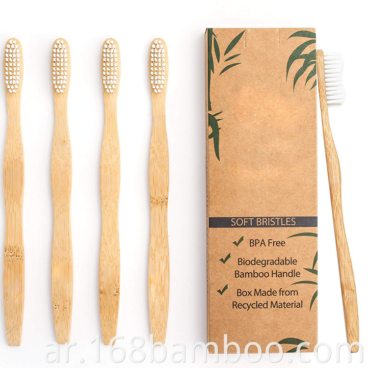 Disposable bamboo toothbrush